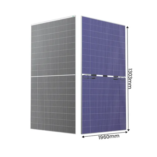 Loom SHARK 600 Wp HJT Dual-Glass Solar Panel (Pack of 31)